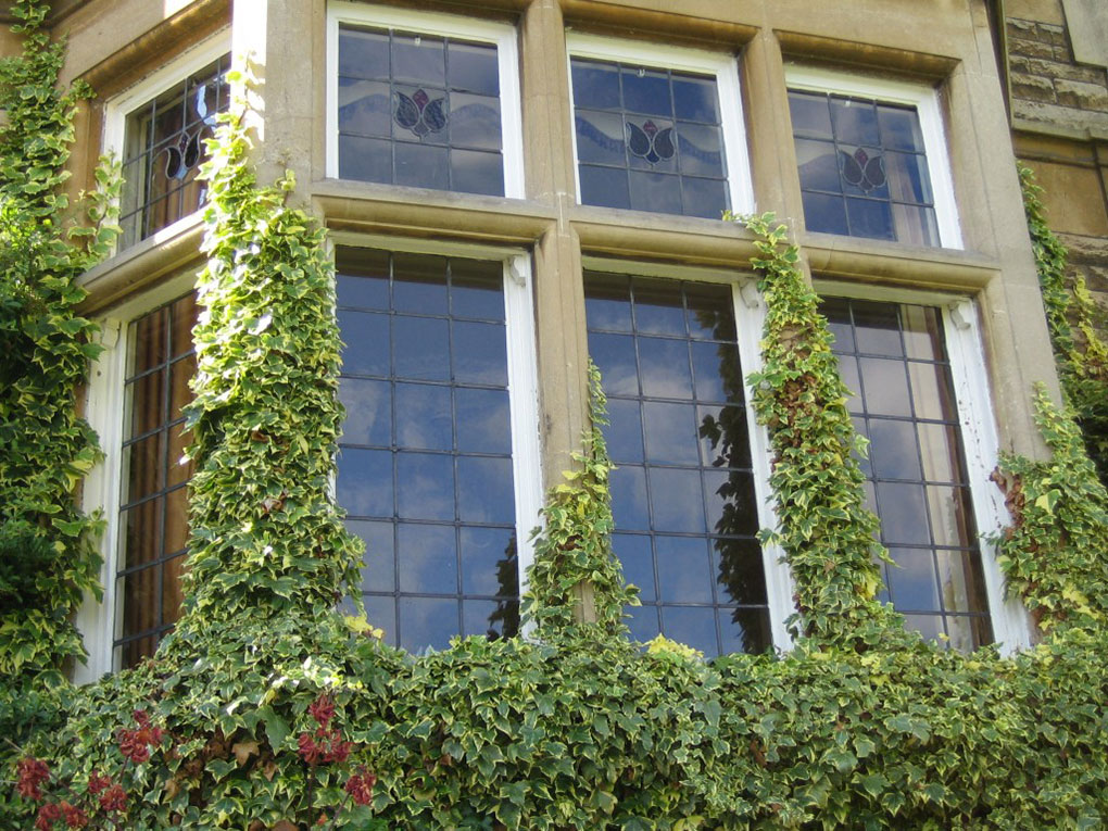 Residential window cleaning - windows